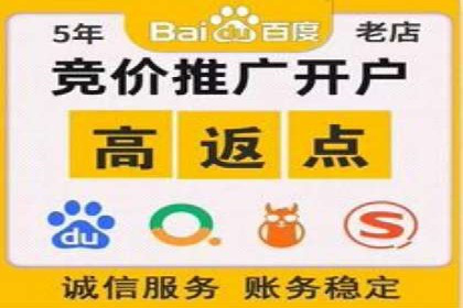百度竞价广告成功案例集锦：如何玩转搜索引擎营销